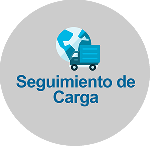Seguimiento de Carga